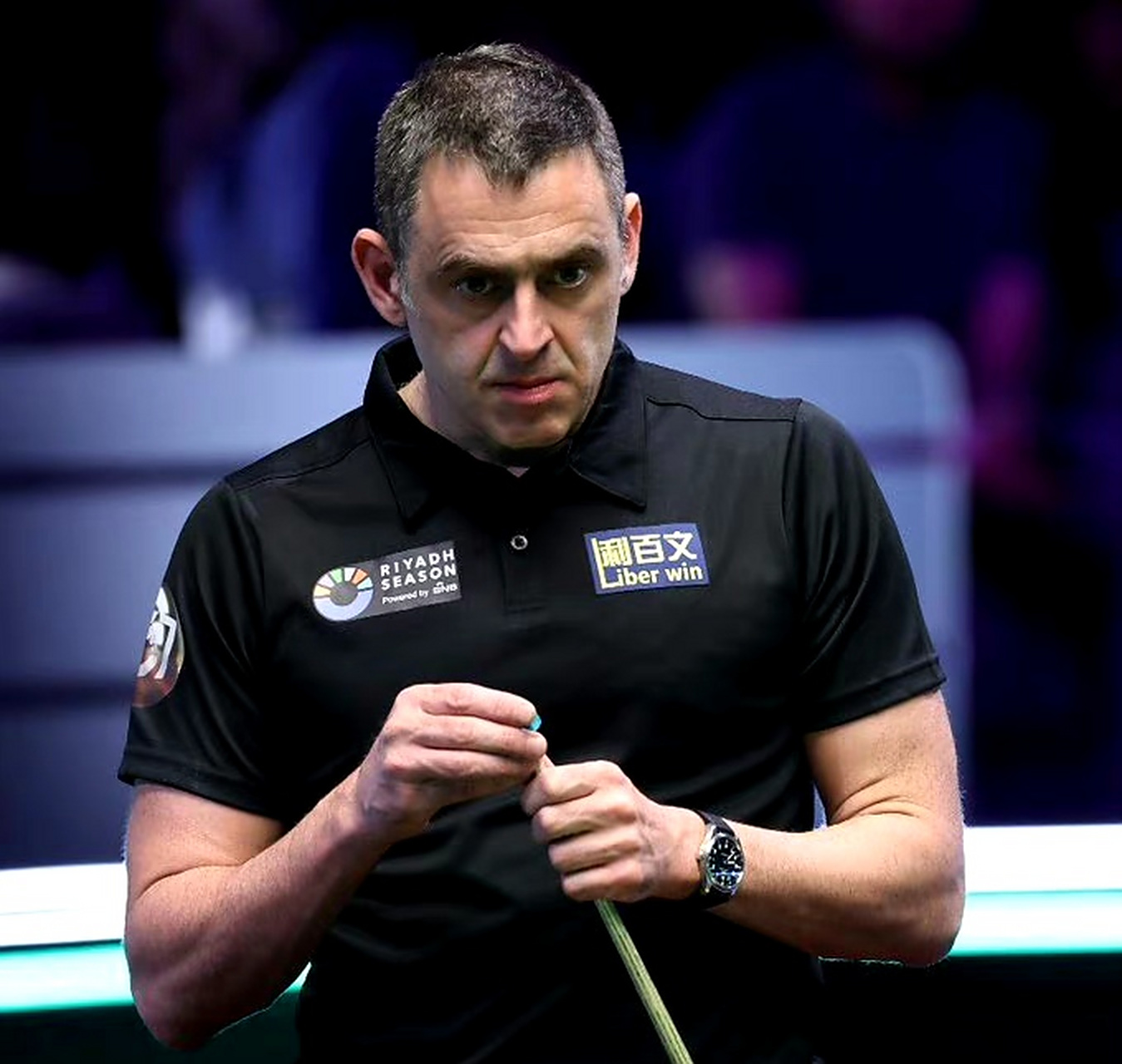 在紫百合的 在紫百合的