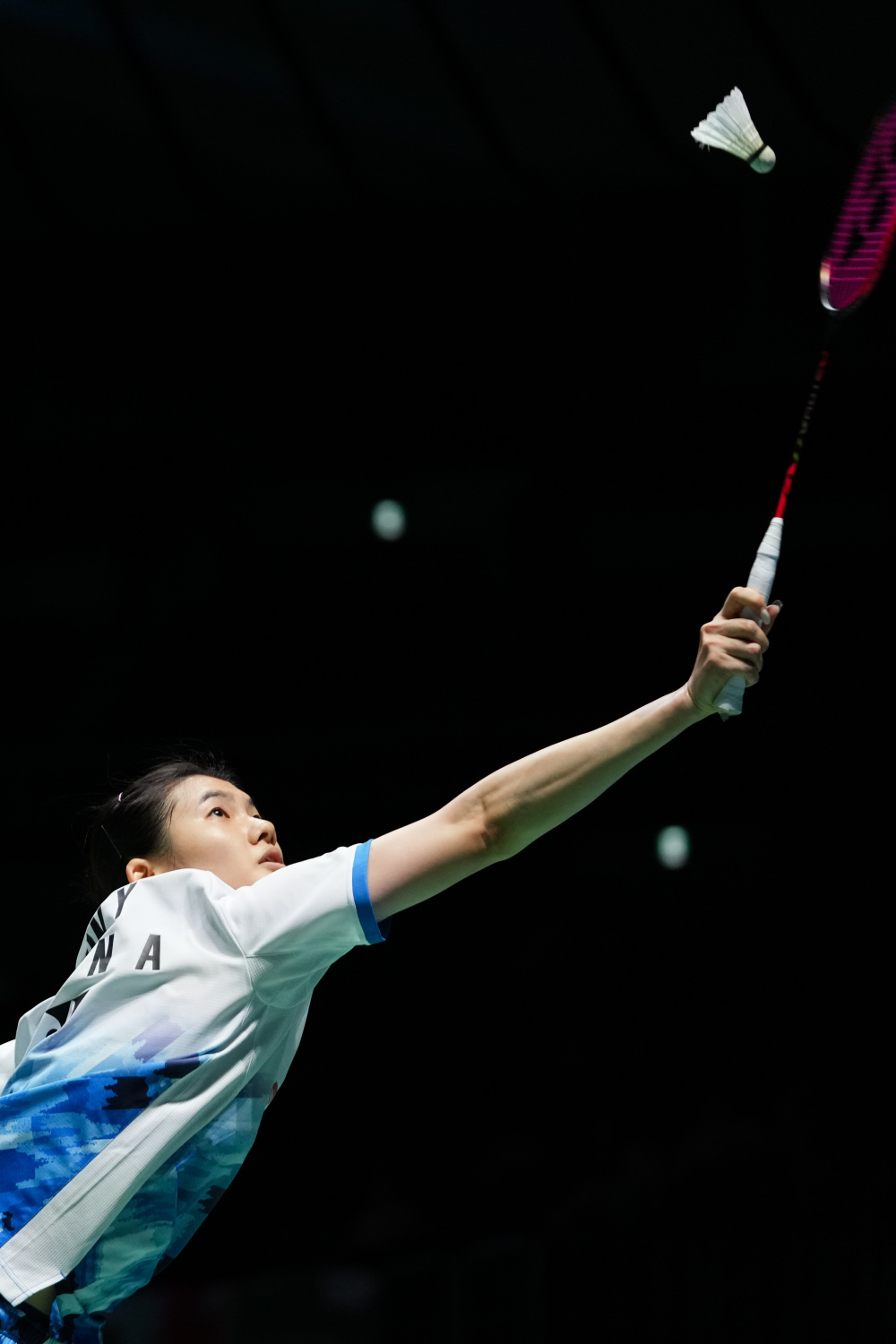 金海豚奖 金海豚奖